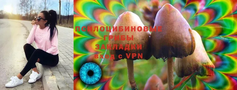 Галлюциногенные грибы Magic Shrooms  Ревда 